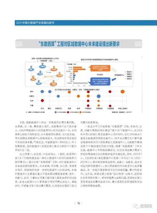 《2021中國大數(shù)據(jù)產(chǎn)業(yè)發(fā)展白皮書》解讀 基礎(chǔ)軟件服務(wù)的價(jià)值與機(jī)遇
